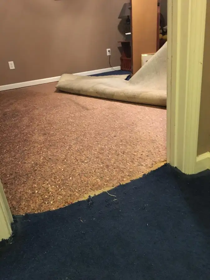 Carpet pad removal revealing water damage during Drying & Dehumidification in North Bend