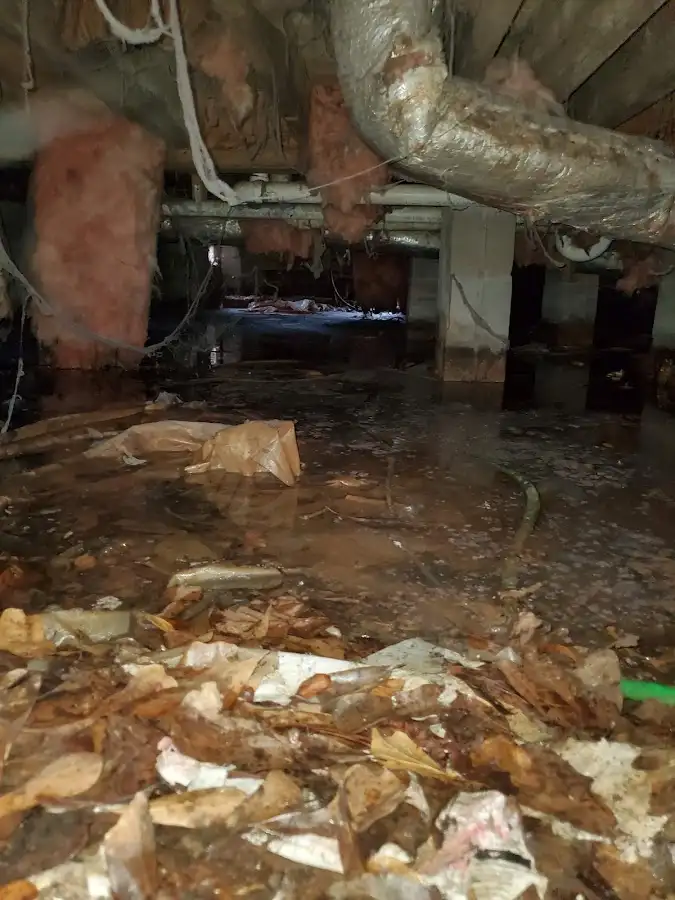 Crawl space flood assessment for Leak Detection & Repair in North Bend